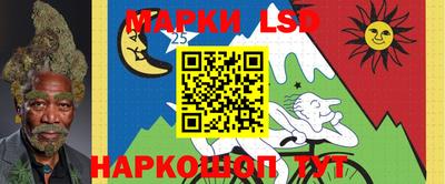 mdpv Можга