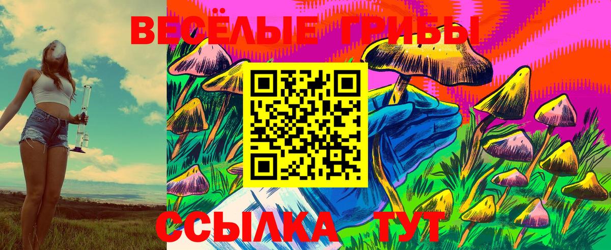 Псилоцибиновые грибы MAGIC MUSHROOMS Усть-Илимск