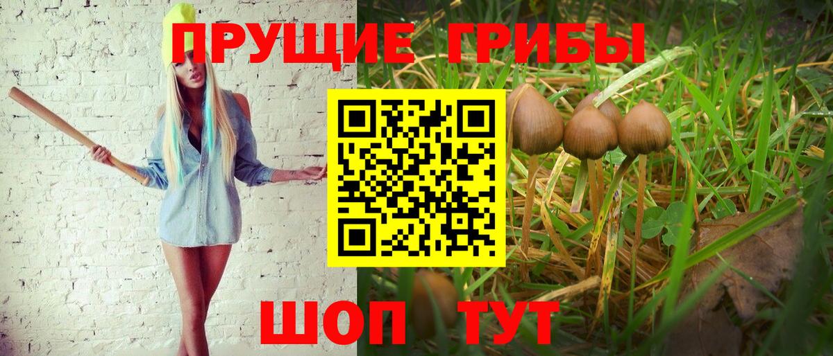 Псилоцибиновые грибы Psilocybe  Вход с VPN  Галлюциногенные грибы Psilocybe  Усть-Илимск 